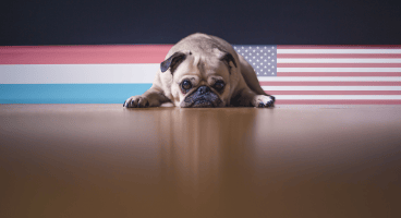 Pug_Flags